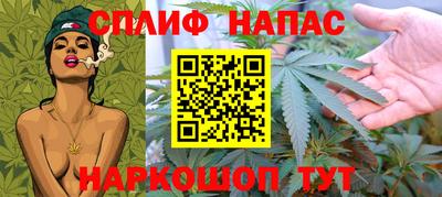 МДПВ Будённовск