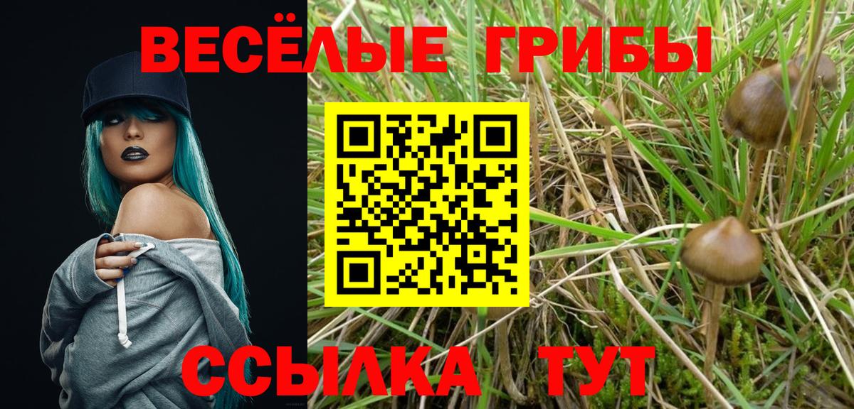 Псилоцибиновые грибы мицелий Нижний Тагил