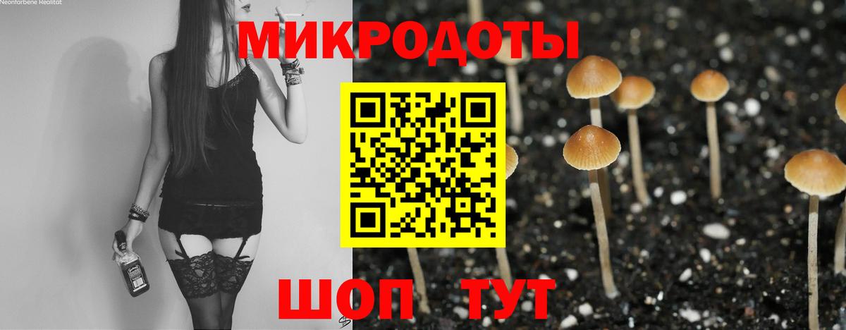 Псилоцибиновые грибы Psilocybe  Вход с VPN  Нижний Тагил 